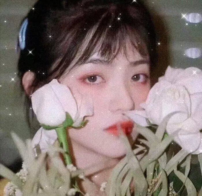 美丽的声音